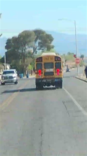 following bus #14529 2014 blue bird vision
