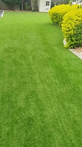 3.5K views · 26 reactions | How bizarre  Rain spider 0 - wasp 1 Had to stop filming and run. Damn wasp. Caron 0 - wasp 2! | Caron Baynes | Facebook