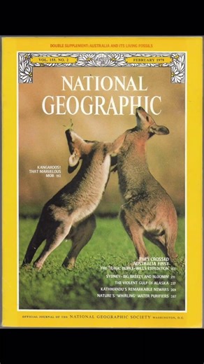 #joyner #nationalgeographic #vintagecovers #printculture #visualhistory #history #art #fashion