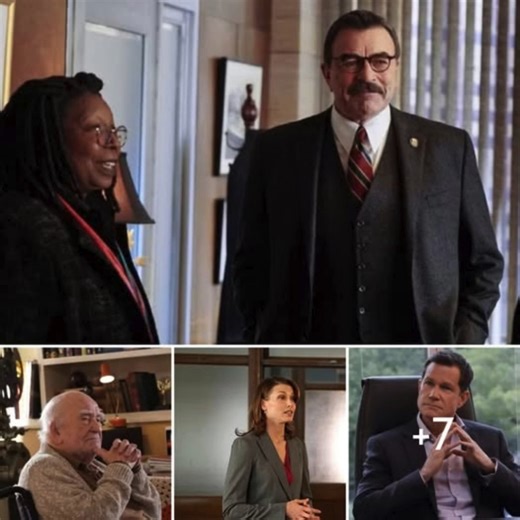 ‘Blue Bloods’: The 10 Best Guest Stars, Ranked 🗣️ MORE INFORMATION BELOW ⬇️⬇️ https://soaps.vi.money/blue-bloods-the-10-best-guest-stars-ranked/ #BostonBlue #BlueBloods #BB | Will Estes - Blue Bloods Fans