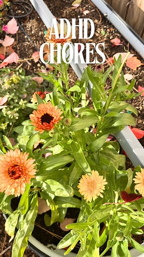 4.4K views · 9.2K reactions | Remember when I was going to give Fall...