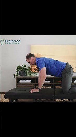 Bird Dog Basics: Stretch Your Spine, Not Your Patience!