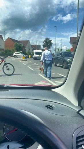 UK Driving Instructor Assisting Fox for Road Safety | Driving Tips