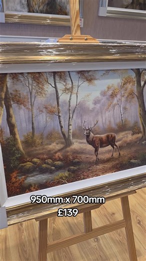 How beautiful is this 😍 #thepictureguy