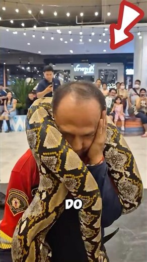 How to Survive a Python's Coil🐍😨