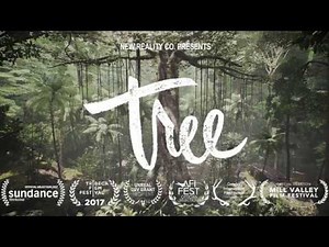 TREE | New Reality Company | VR For Impact