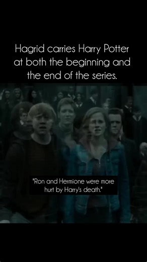 The traumatized look on Hagrid‘s face as he carries Harry believing he‘s no more is one of the most heartbreaking moments ever! 🥺💔 | Harry Potter is life