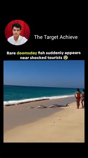 The post shares video footage from February 20, 2026, showing tourists in Cabo San Lucas.. #shorts