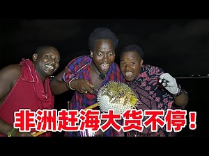 非洲赶海是真爽，看看！海鳗泛滥保镖一刀一个，河豚我们都连着抓