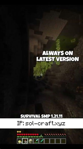 minecraft survival smp java & bedrock