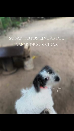 Videos de sofiablanco519 (@sofiablanco159) con “original sound - Dooney”