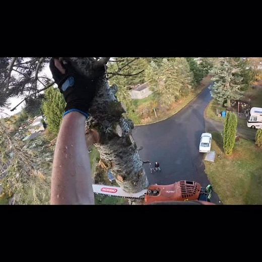 Small tops equals small problems. Little Christmas tree ready for the holiday season lol | Austin Kark