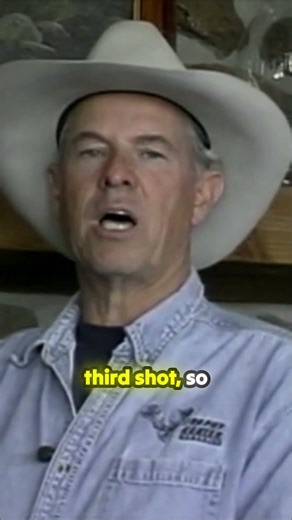 3 Essential Tips for Muzzleloader Hunting Success