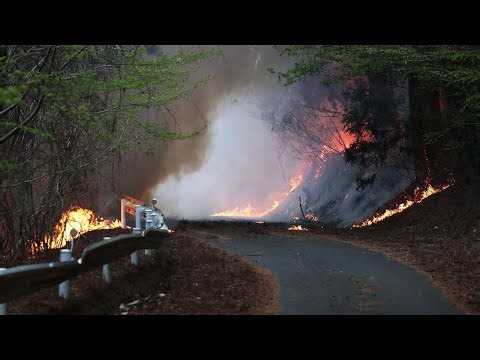 Wildfires burn across Florida and Georgia