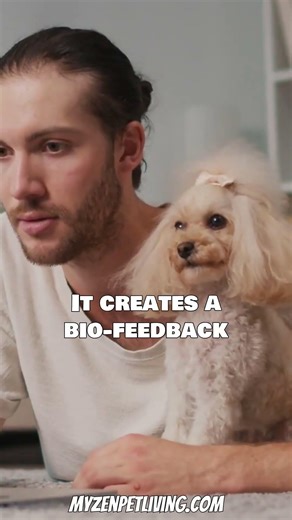 The "Love Loop" Biohack: Why You Should Stare at Your Dog 👁️❤️