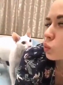 53K views · 822 reactions | True muslim ❤️❤️ | Muftii.exe | Facebook