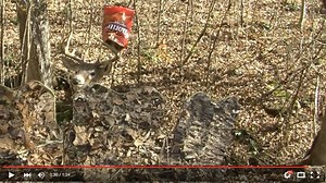 Check out GhostBlind's Extended Doritos Super Bowl Video | GhostBlind