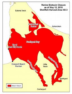 Shellfishing Areas Closed by DEC