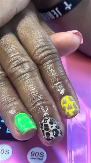 Colorful Animal Print