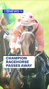Black Caviar, the undisputed Queen of the turf, died yesterday after giving birth to her ninth foal. #9News | 9 News