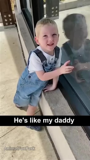 animalfunpark on TikTok