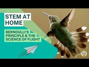 Bernoulli's Principle and the Science of Flight