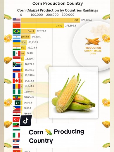 Top Corn Producing Countries Worldwide