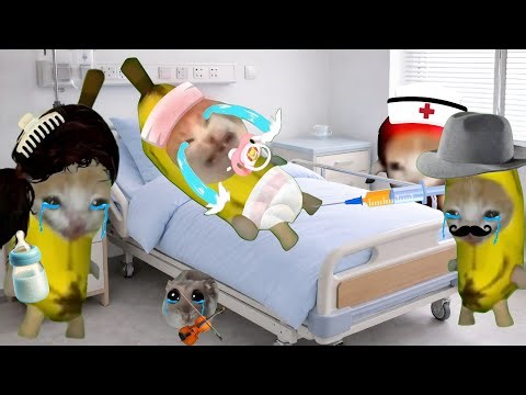 Banana cat crying not happy compilation 528 #babybananacat #happycat #catmemes #bananacat