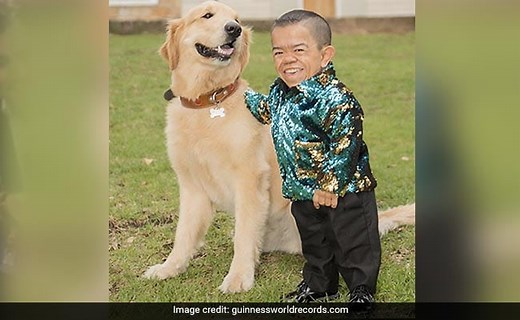 World's Shortest Man Regains Guinness World Record Title After A Decade