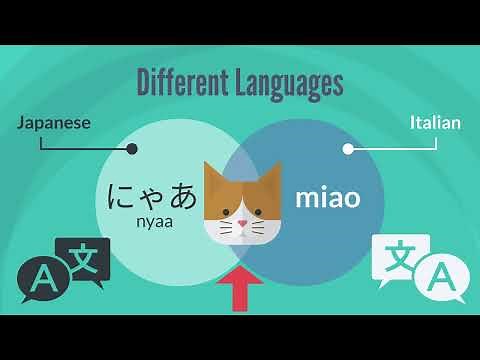 Animal Sounds in Different Languages