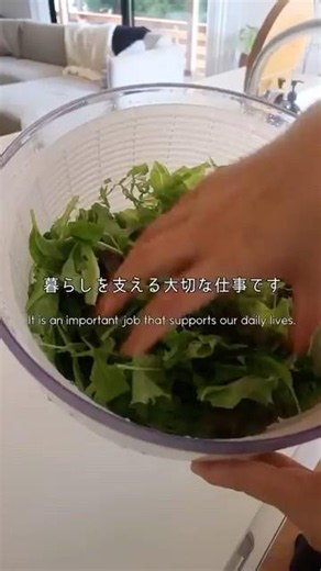 【お盆生活🎐】三日目👏🏻前日のトマトと卵さん今日たべました🍅😂#日常vlog #5児ママ #おうちごはん #晩ごはん#主婦 #ワンオペ