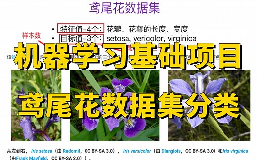 机器学习入门必会基础实战项目：鸢尾花数据集分类！原理详解 项目实战，手把手带你玩转鸢尾花数据集！
