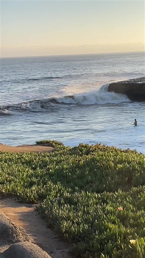 Discover the Best of Santa Cruz Adventures
