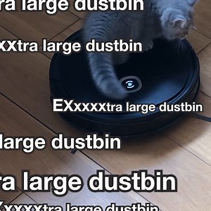 126K views · 187 reactions | Your dog shed more hair? Or your cat… With #DEEBOTU2PRO extra large 800ml dustbin, say bye to shedding season. #ECOVACS #DEEBOT #pet | ECOVACS ROBOTICS | Facebook