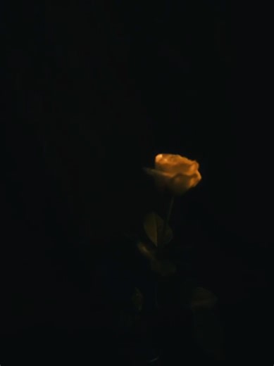 Okinxwx, Lxnsy - Owerstep #phonk_music #рекомендации #2026