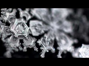 Point of Viewer: You've never seen snowflakes quite like this