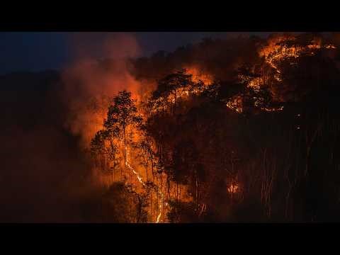 The Amazon’s Decade of Destruction | Extreme Earth