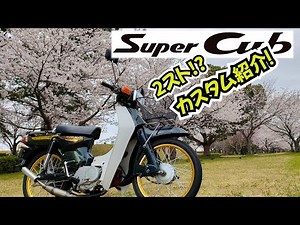 Supercub?! 2 Stroke RC Birdie custom