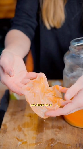 Vinegar Mother - also a SCOBY (symbiotic colony of bacteria and yeast) that will grow all on its own when making fruit vinegars. Here we have some tips on what to do with it. It might look strange but it’s an incredible tool to spur on more vinegar projects. We have lots more information, recipes, tips & tricks on our online academy - link in bio 🧫 #vinegarmother #hawthorn #livingvinegar #scoby #guthealth #probiotic #immunebooster #ediblealchemy | Edible Alchemy CoLaboratory