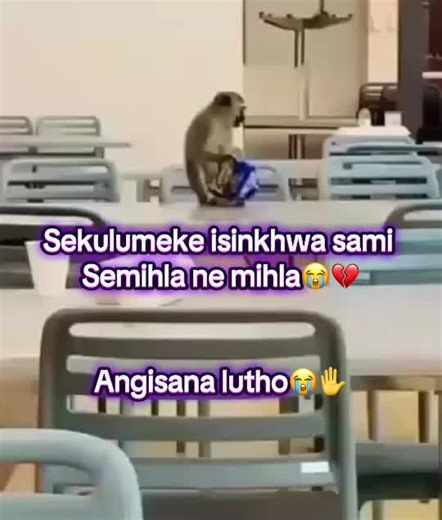 HQ_Desire (@hq_desire)’s videos with original sound - HQ_Desire