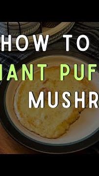How to Cook Giant Puffball Mushrooms | Why We Hunt