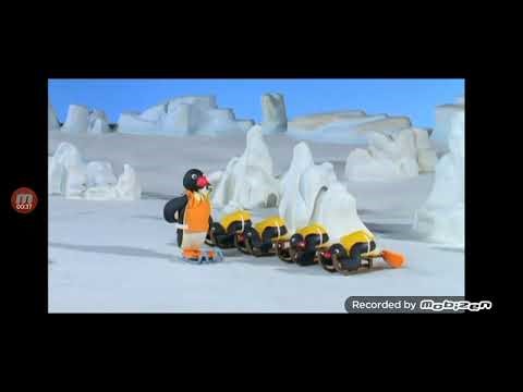 The pingu show 2025 compliation 2025 HD 2025 funny cartoon full episodes compliation season 1 pt 19
