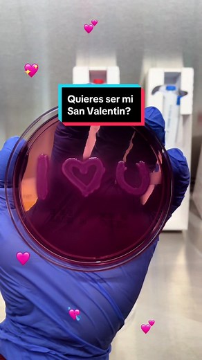 Quieres ser mi Valentín? Laboratorio amoroso en el hospital