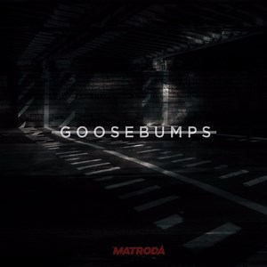 Matroda X Travis Scott - Goosebumps (VIP Edit)