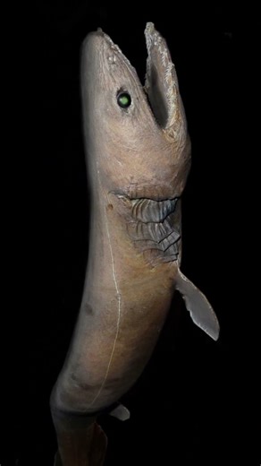 The Deepest Place on Earth Exists 🌊🕳️