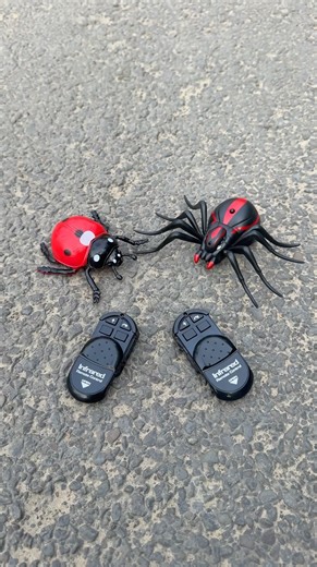 Ladybug vs Spider Makdi 2Ta Real Jaisa Lagta Hai! 😳