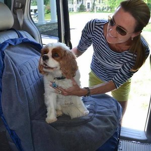 6.9K views | Today on Steals: The Lay-n-Go machine washable pet bed and travel bag is 50% off today only! A smart and easy 4 in 1 solution...dog bed, car seat cover, travel mat, storage bag, and carry-all in one! https://baby.steals.com/daily/deal/id/3020034/lay-n-go-dog-beds | KidSteals.com | Facebook
