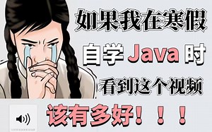 Java基础】手把手教你全程干货无废话，学完变大佬！看完学不会，我退出IT圈！_Java入门_Java实战_Java编程