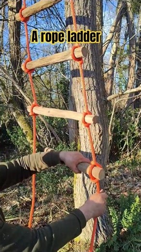 How to make a ladder with a rope and a few pieces of wood #ladder #extensionladder #stepladder