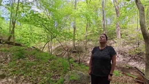 Forest bathing: Why to slow down and enjoy the woods